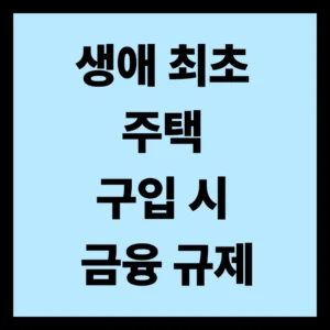 생애 최초 주택 구입 시 금융 규제