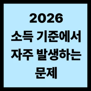 소득 기준에서 자주 발생하는 문제