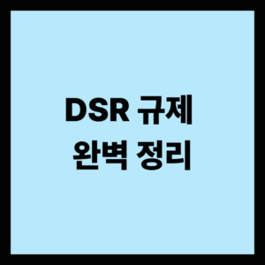 DSR 규제 정리